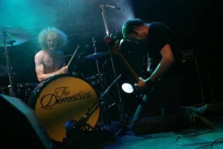 The Domestics